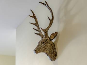 Glamping for 4 People in Redcar and Cleveland, North East England, Photo 2