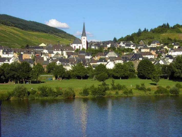 Ferienhaus für 32 Personen, mit Terrasse, mit Haustier in Kröv - 3