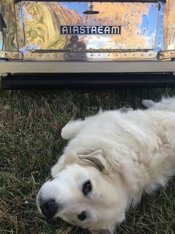 Camping für 3 Personen in Südwestliches Colorado, Southern Ute Indian Reservation, Bild 2