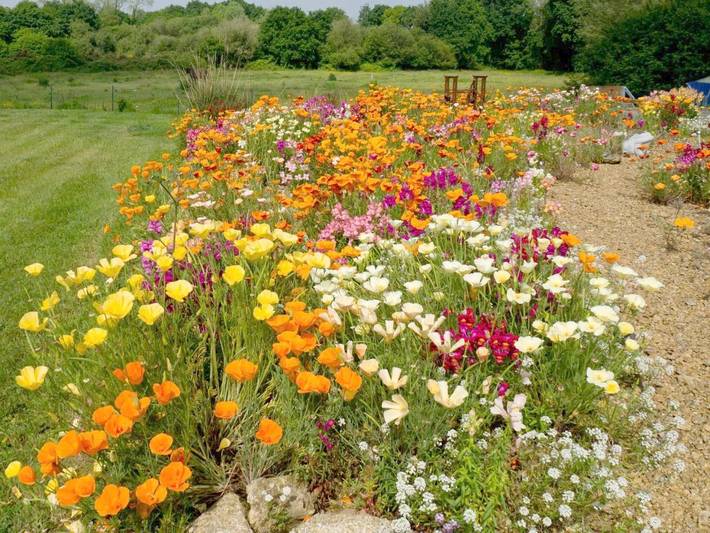 Chambre d’hôte pour 2 personnes, avec jardin et terrasse, animaux acceptés à Plouha - 4
