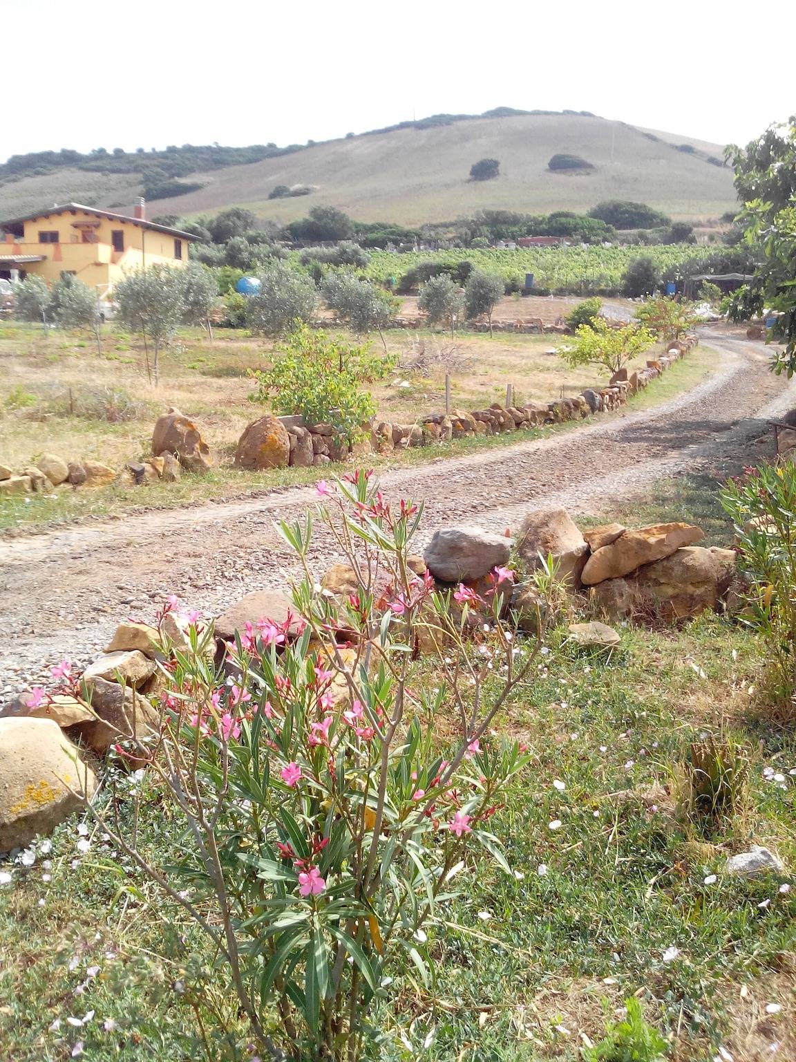 Casa di campagna 'Sulcis Relax Oasis Panoramic' con vista montagna, terrazza privata e Wi-Fi in Gonnesa, Iglesiente