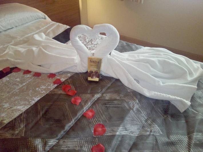 Hotel para 1 personas, Se admiten mascotas - 1