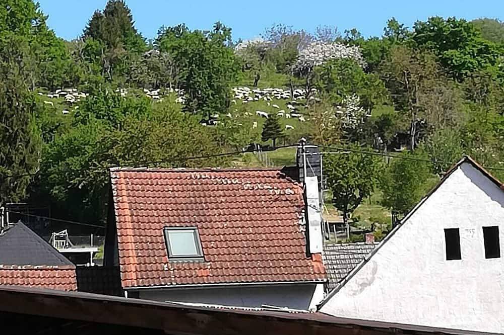 Ferienwohnung in ruhiger naturbelassener zentraler Lage zu Limes und Rheinsteig in Neuwied, Osteifel