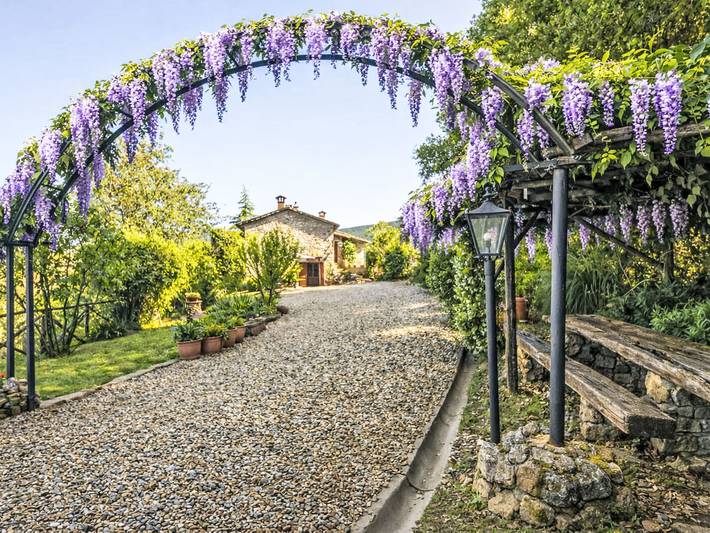 Ferienhaus für 6 Personen, mit Terrasse und Garten, mit Haustier - 1