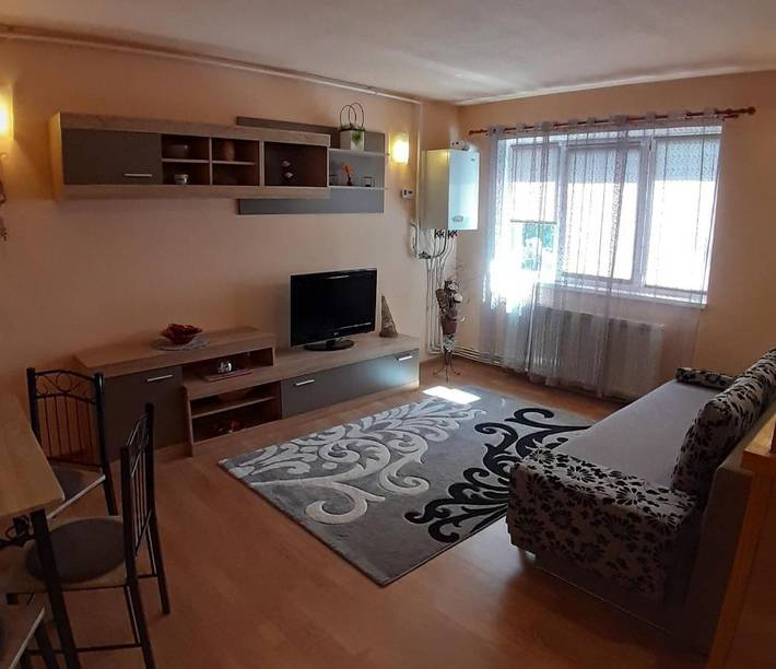 Gîte pour 4 personnes, avec vue dans Deva (Roumanie) - 4