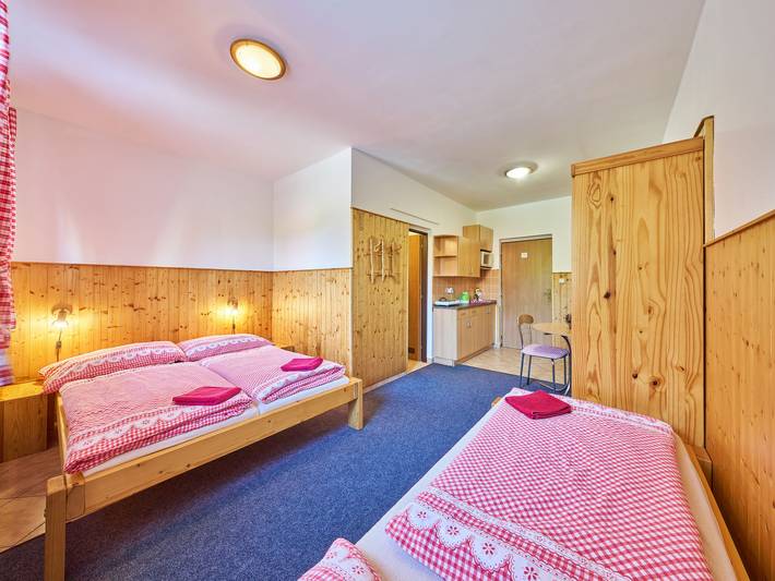 Appartement entier, U Švýcarského dvora II in Janské Lázně, Région de Trutnov