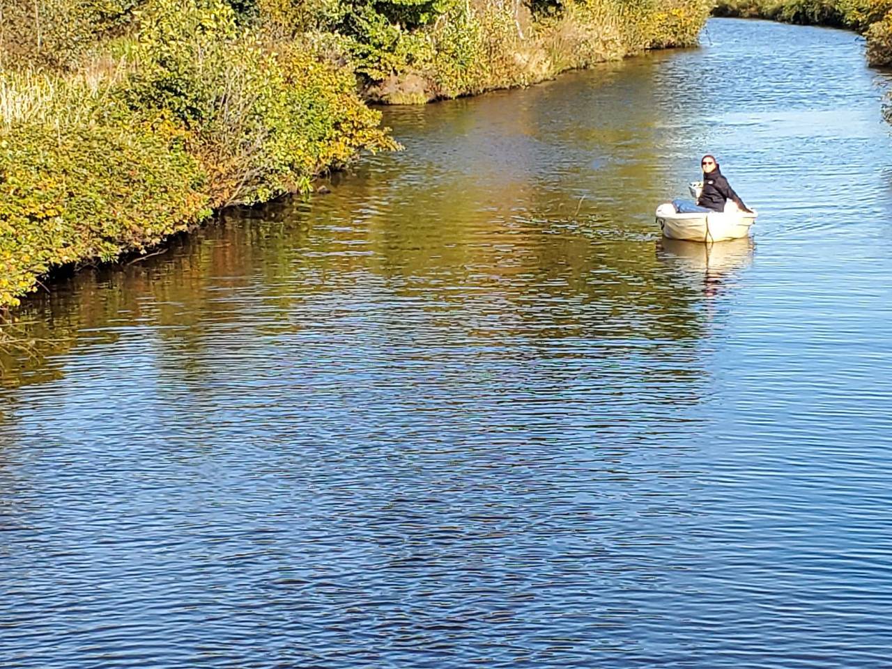 Ganze Ferienwohnung, Friesenborg - Fewo Klein Sande - Ferienwohnung Bauernstube in Hinte, Nordseeküste