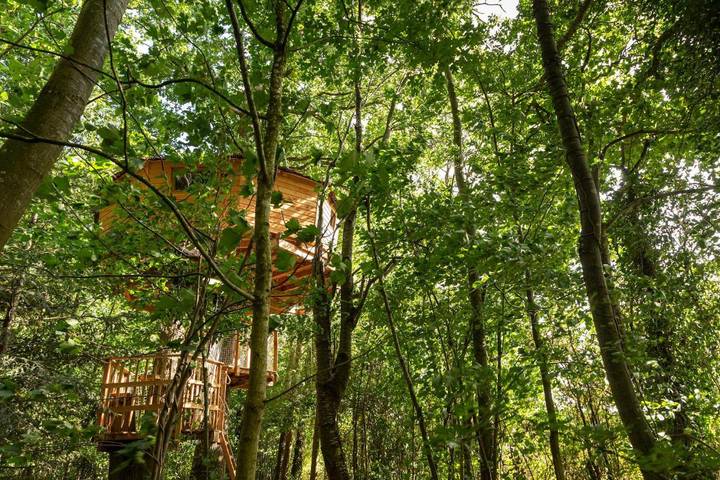 Gîte pour 8 personnes, avec vue et jardin dans Longny-les-Villages - 4