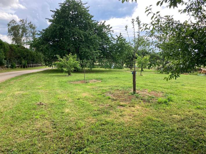 Ferienhaus für 5 Personen, mit Garten, mit Haustier in Franche-Comté - 3
