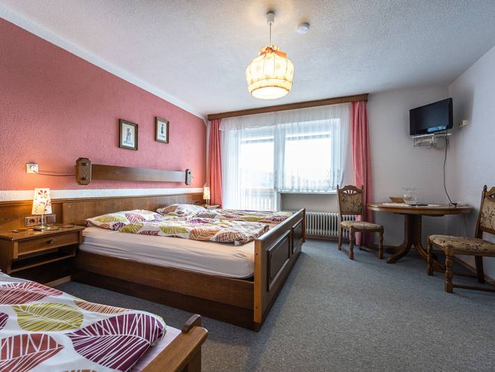 Ferienhaus für 36 Personen, mit Balkon in Westböhmen - 4