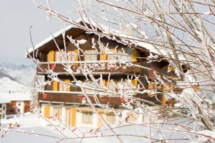 Gîte pour 10 personnes, avec balcon et jardin, adapté aux familles à Grächen - 2
