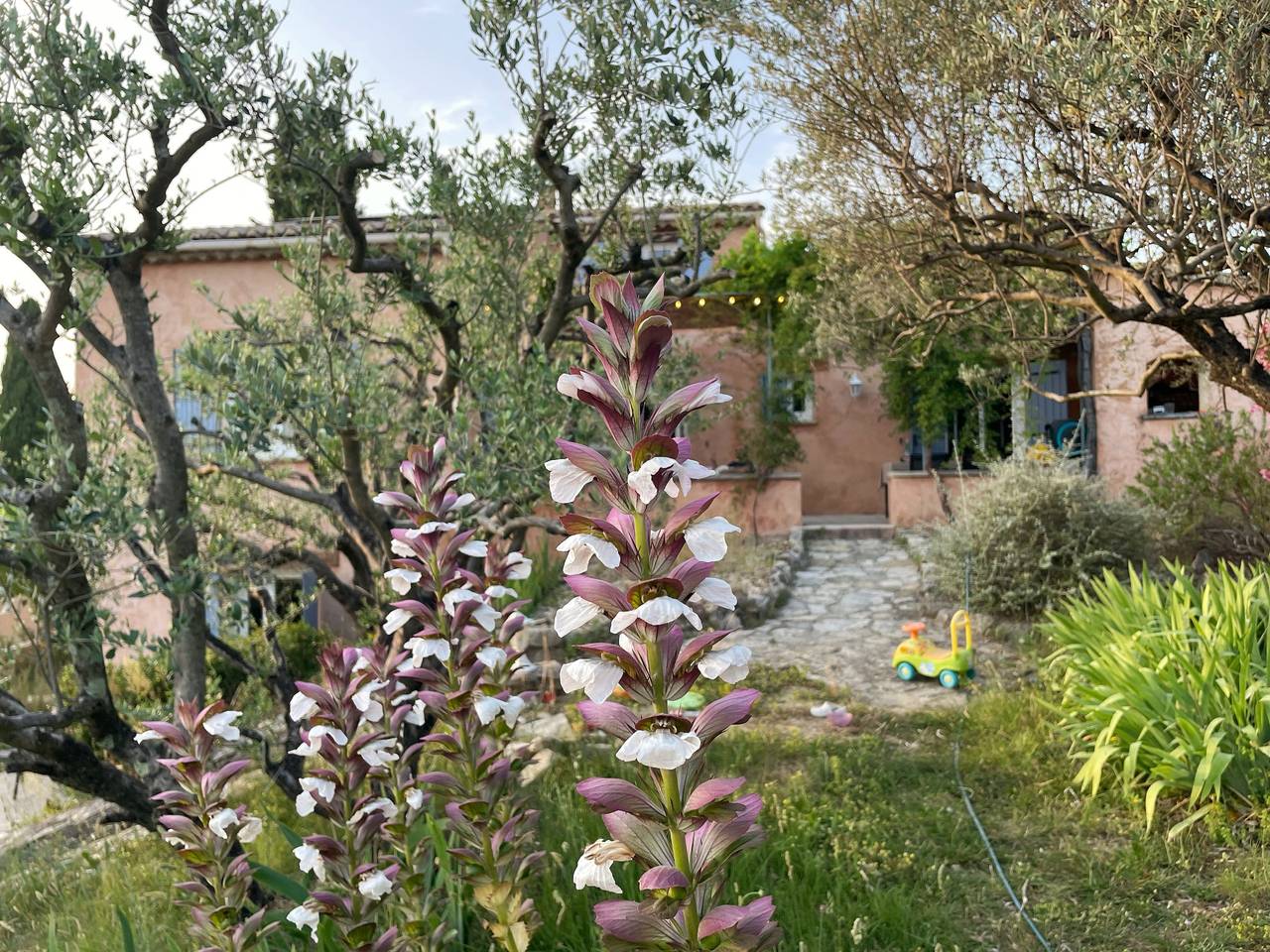 Gite familial Les 3 cyprès avec piscine in Séguret, Vaucluse
