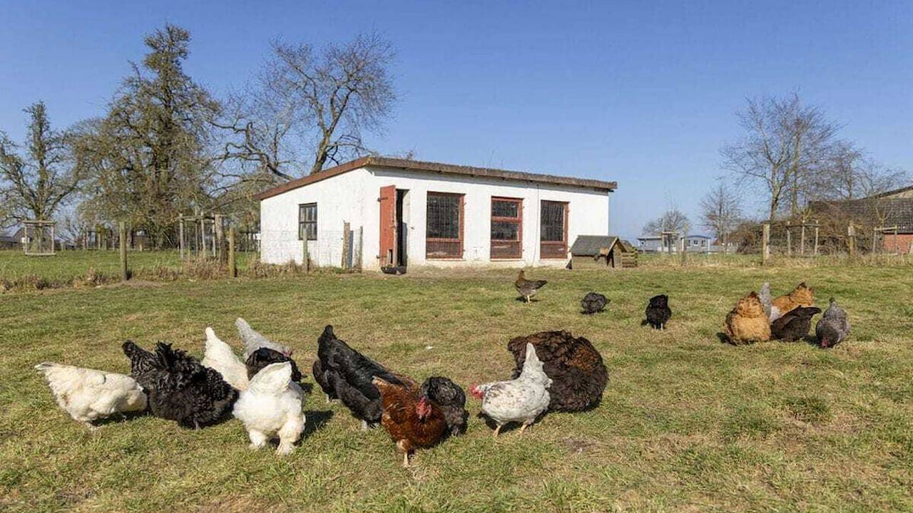Ferienhaus für 7 Personen (101 m²) in Kaköhl in Blekendorf, Hohwachter Bucht