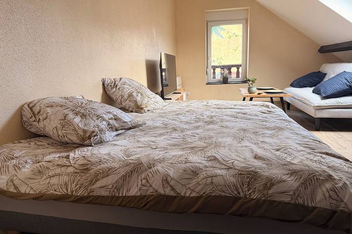 Large studio with jacuzzi/spa/balneo in Belfort, Territorio de Belfort