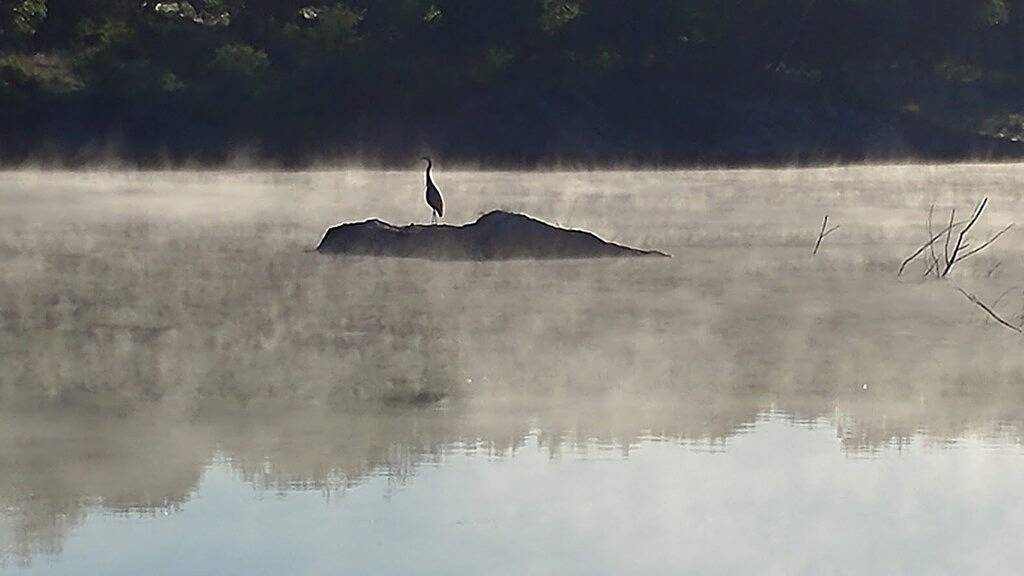 Boulderdash Cabin & Rv Park in Bandera County