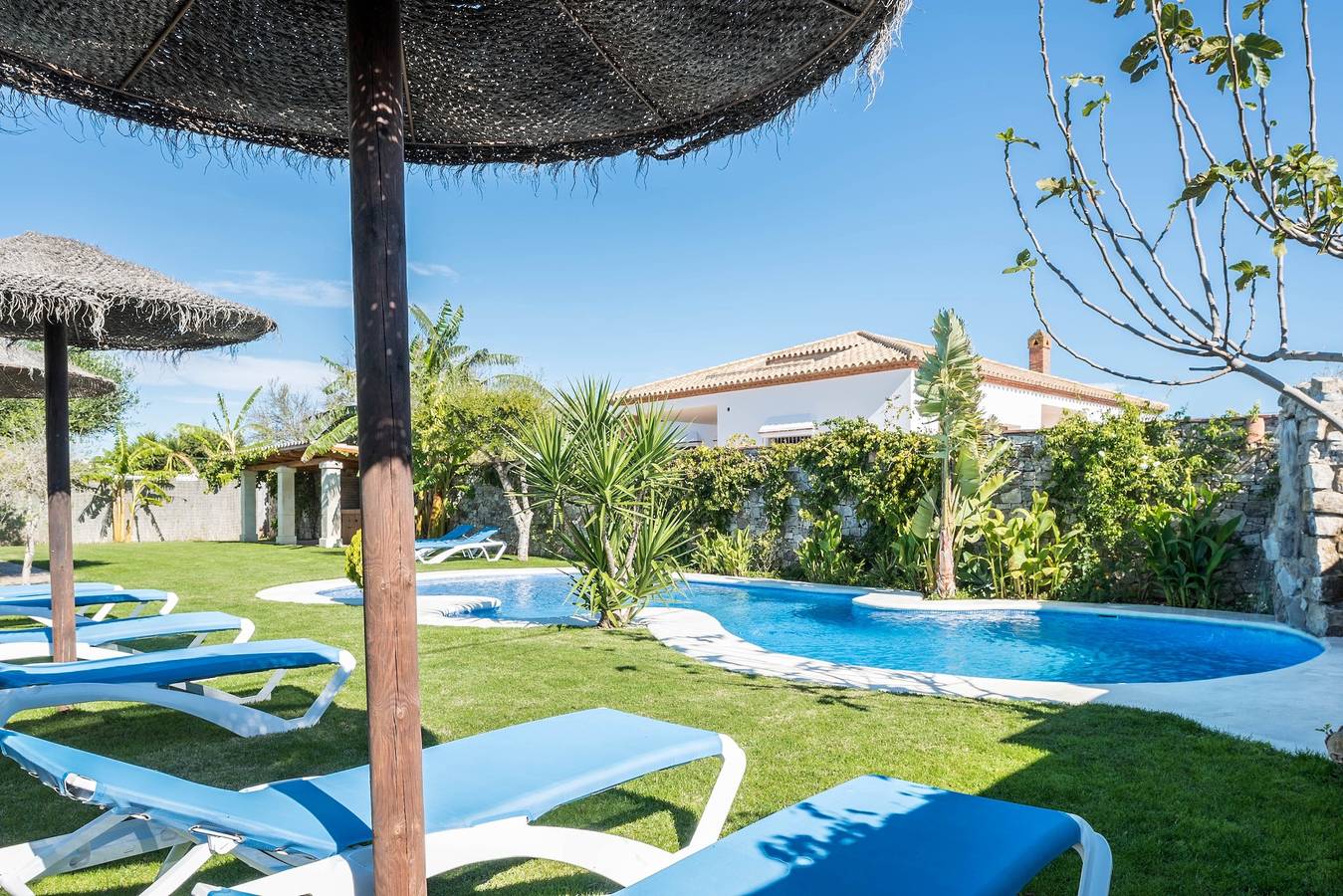 Charming Apartment with Beautiful Pool, Jacuzzi, Patio, & Wi-Fi in Conil de la Frontera, Costa de la Luz