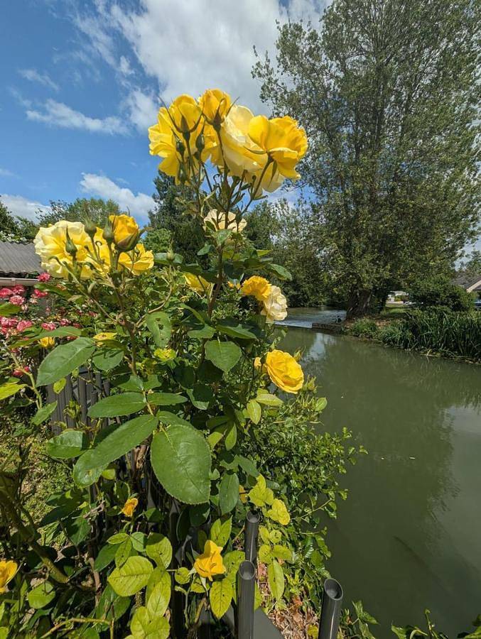Maison d’hôte pour 4 personnes, avec jardin à Loches - 2