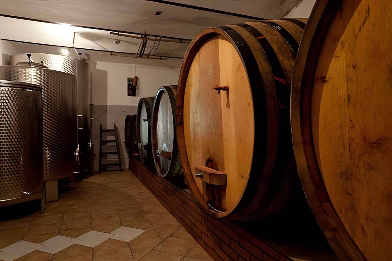 Ferienhaus mitten in den Weinbergen in Neustadtl, Slowenien