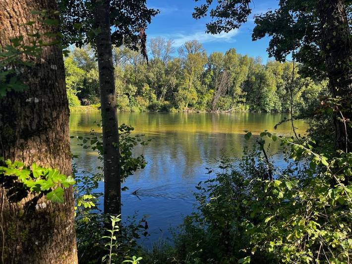 Chambre d’hôte pour 12 personnes, avec jardin ainsi que vue et piscine dans l' Ain - 3