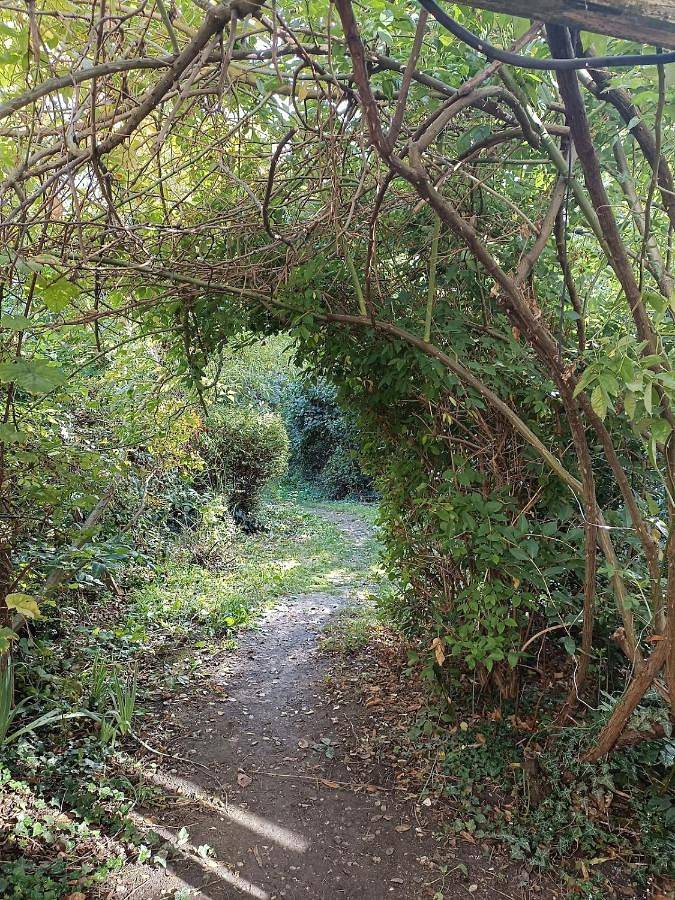 Gîte pour 4 personnes, avec jardin à Deuil-la-Barre - 4