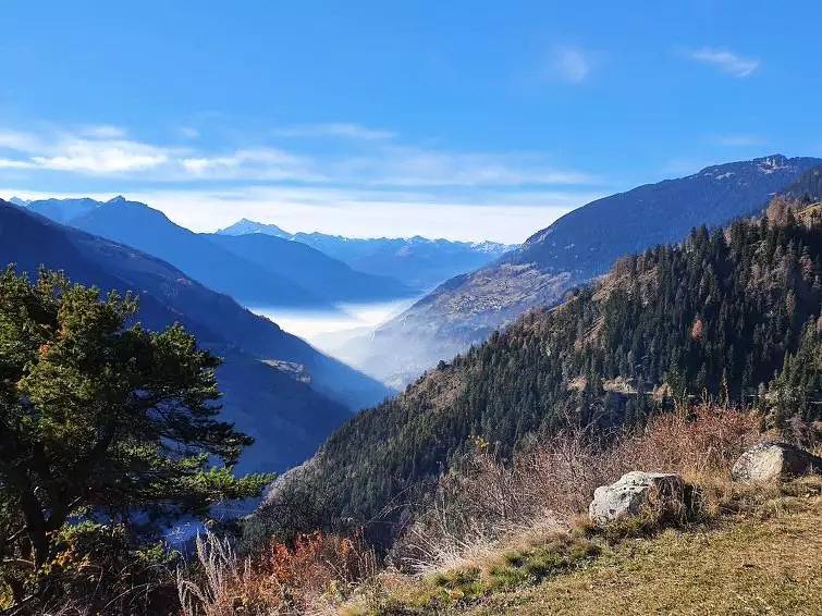 Ganze Wohnung, 2 Zimmer 3 Personen in Fieschertal, Aletsch Arena