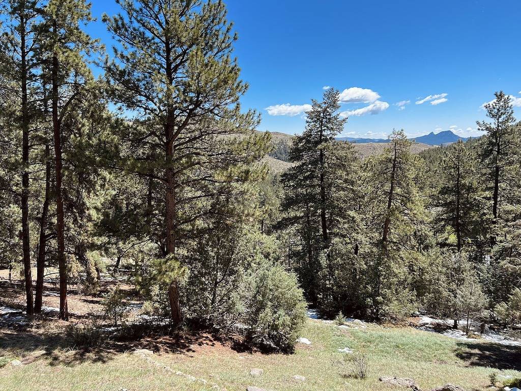 Cozy Mountain Getaway with Stunning Views! in Park County