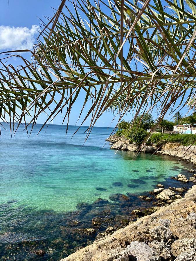 Location de vacances pour 5 personnes, avec terrasse à Anse-Bertrand - 2