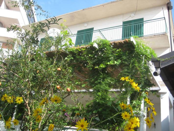 Ganze Wohnung, Apartman Sulic in Podgora, Makarska Riviera