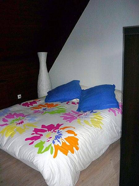 Chambre d’hôte pour 3 personnes, avec jardin en Alsace - 3