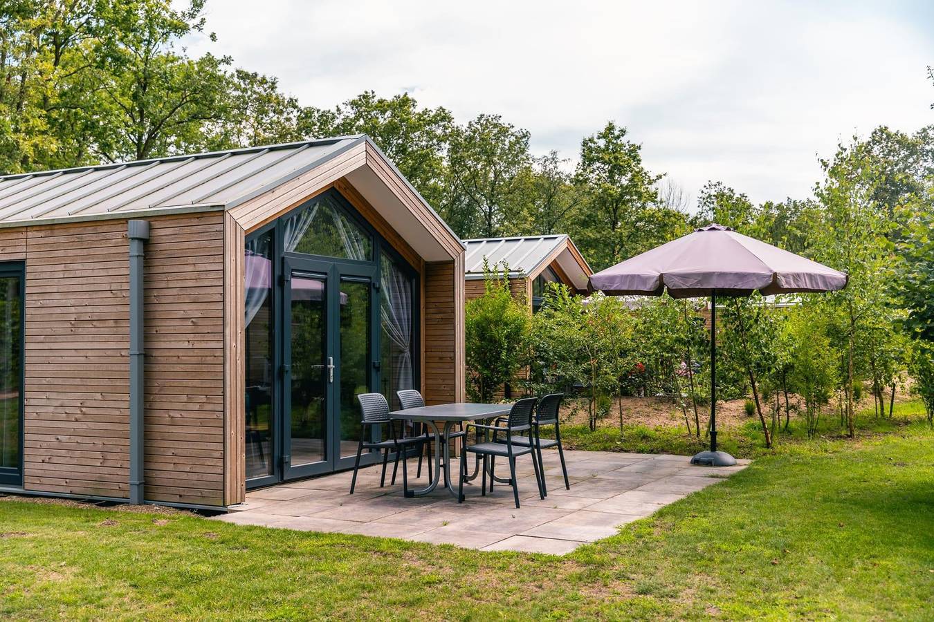 Europarcs Ruinen — Forest Lodge 4 in Ruinen, Nationalpark Dwingelderveld