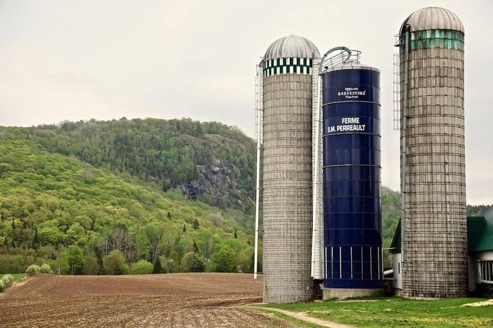 Chalet pour 10 personnes, avec jardin et vue, animaux acceptés dans Mont-Tremblant - 3