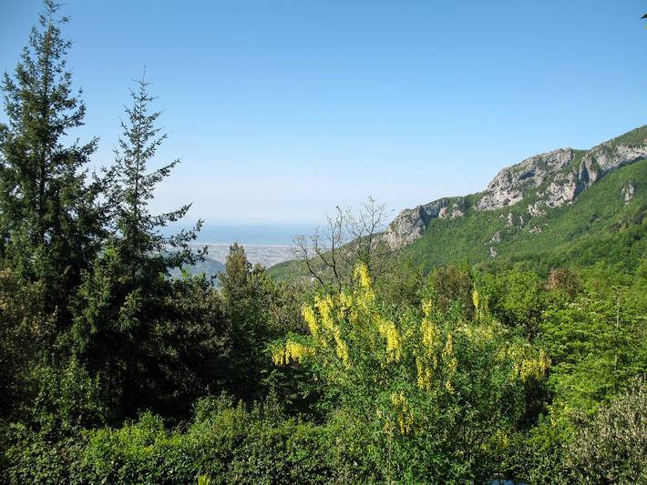 La Quercia in Camaiore (Toscana), Riviera Toscana