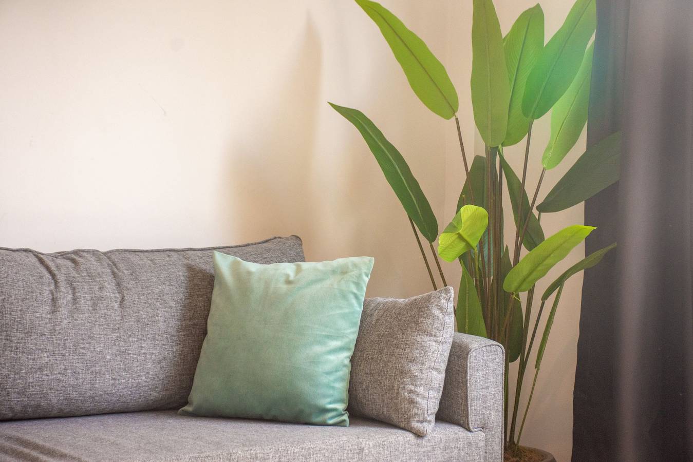 Ganze Wohnung, Cozy Modern Studio with Sofa Bed in Beyoğlu in Beyoğlu, Istanbul