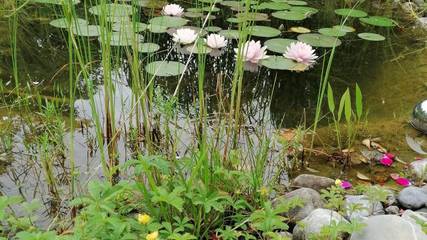 Appartement voor 4 Personen in Lenggries, Opper-Beieren, Afbeelding 4