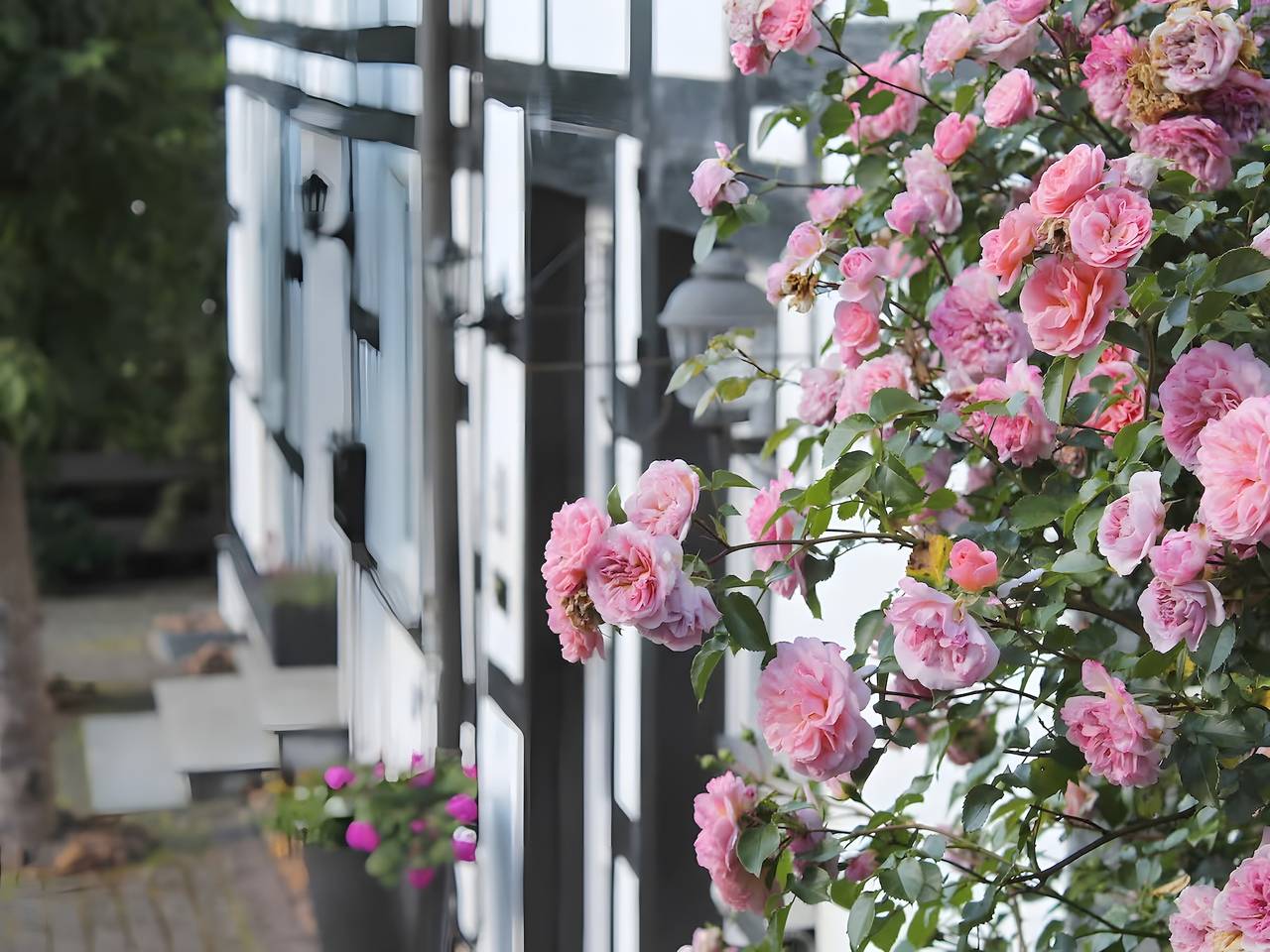 Appartement entier, Appartement 'Küsterland' avec jardin commun et Wi-Fi in Assinghausen, Olsberg