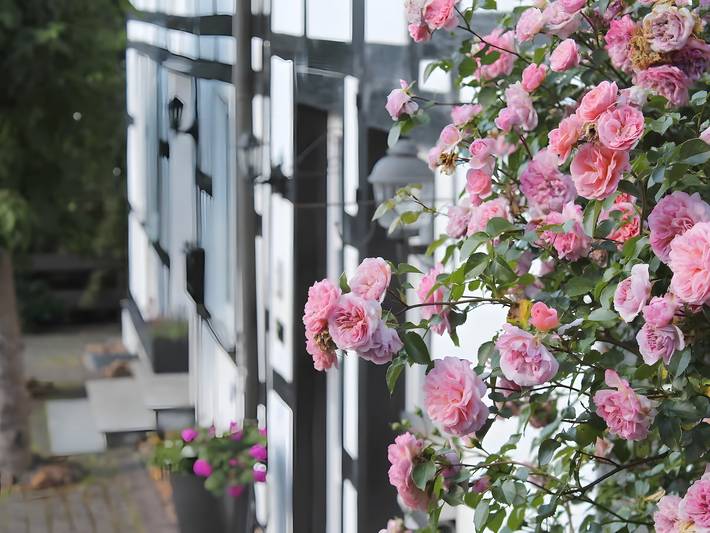 Ferienwohnung für 4 Personen, mit Garten, kinderfreundlich - 1