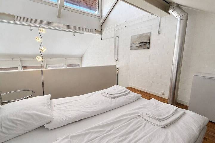 Ganze Wohnung, Exclusive Loft in Seefeld `Mühle` in Zürich Zustellkreis, Zürich