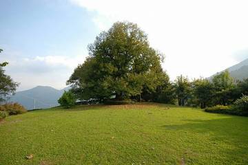 Villa for 6 Guests in Cerano Intelvi, Lake Como, Picture 2