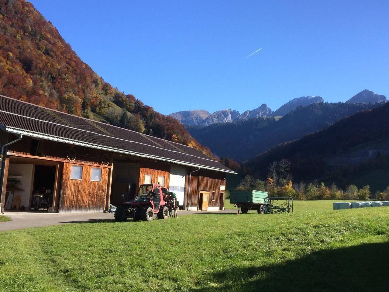 Ganze Wohnung, Wis (Stein) in Stein SG, Nesslau