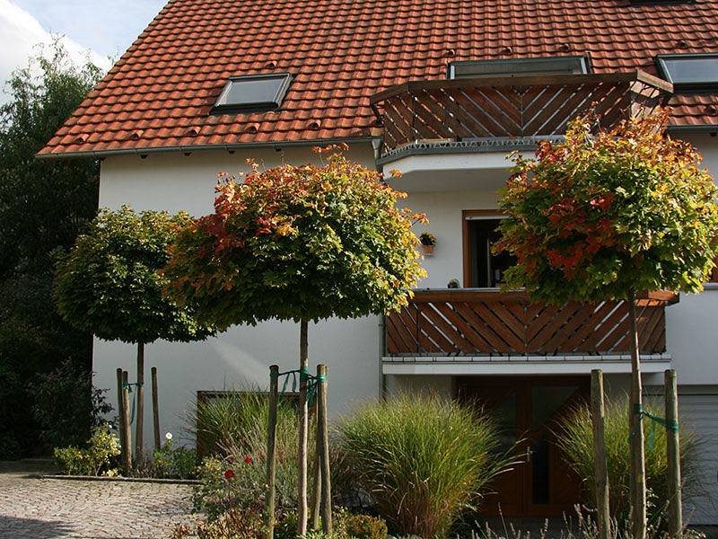 Ganze Ferienwohnung, Familie Meißner - Ferienwohnung, 30qm, 1 Wohn/Schlafzimmer, max. 2 Personen in Bad Krozingen, Südschwarzwald