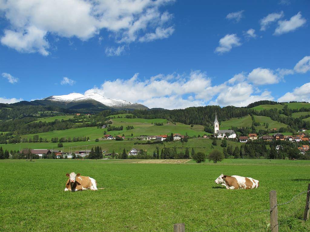 Ganze Ferienwohnung, Komfortzimmer mit Balkon in Rottenmanner und Wölzer Tauern, St. Peter am Kammersberg
