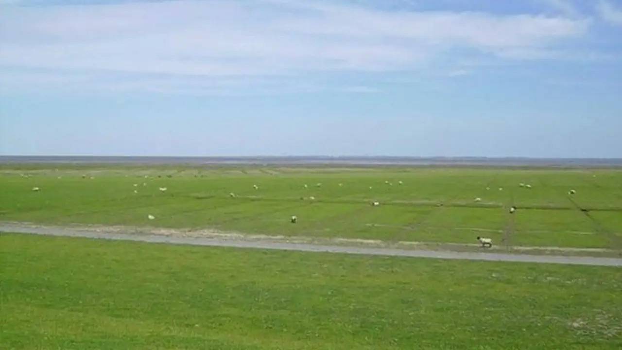 Einzelzimmer für 1 Person in Friedrichskoog in Friedrichskoog, Dithmarschen