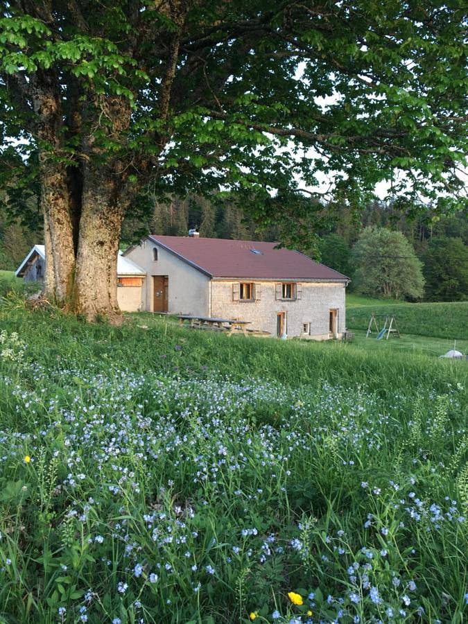 Gîte pour 4 personnes, avec sauna ainsi que vue et jardin, animaux acceptés à La Pesse - 2