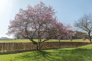 Ferienwohnung für 4 Personen in Überlingen, Region Bodensee-Oberschwaben, Bild 1
