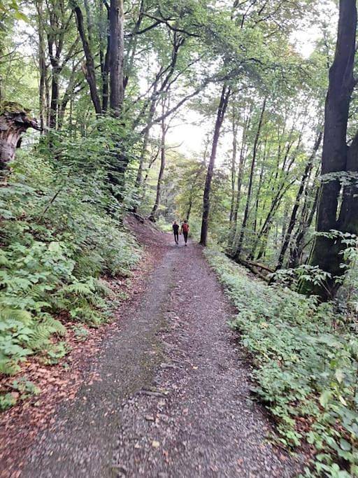 Gîte pour 4 personnes, avec vue ainsi que jardin et vue sur le lac à St. Vith - 4