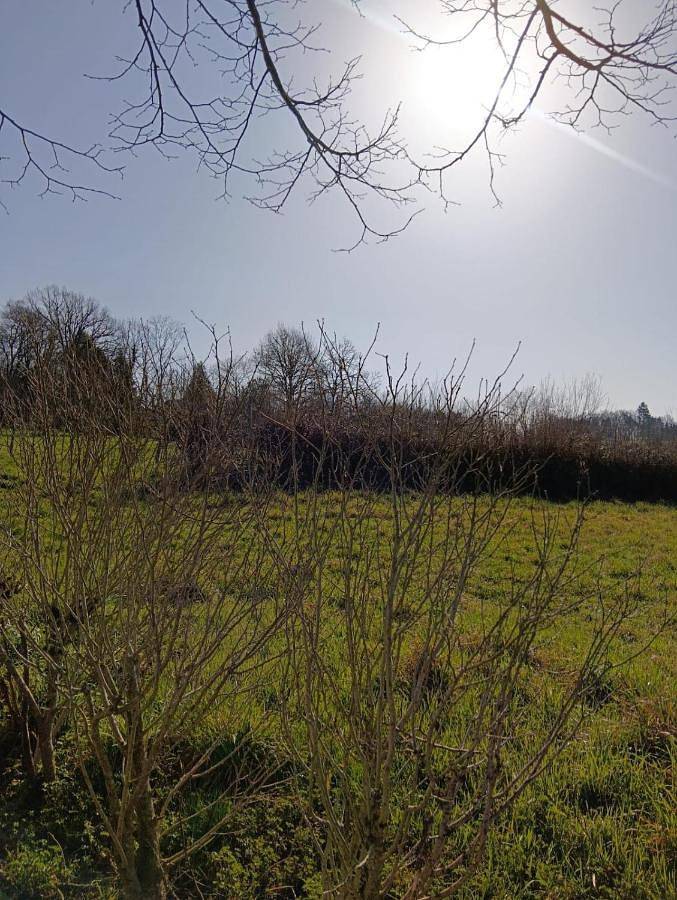 Location de vacances pour 6 personnes, avec jardin à Vigeois - 4