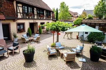 Hôtel pour 4 personnes, avec jardin et sauna à Marlenheim