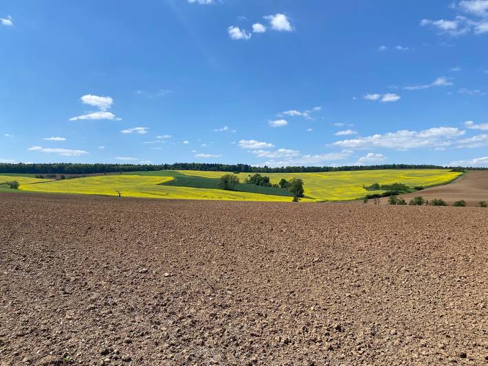 Ferienhaus für 6 Personen, mit Terrasse in Spessart-Mainland - 3