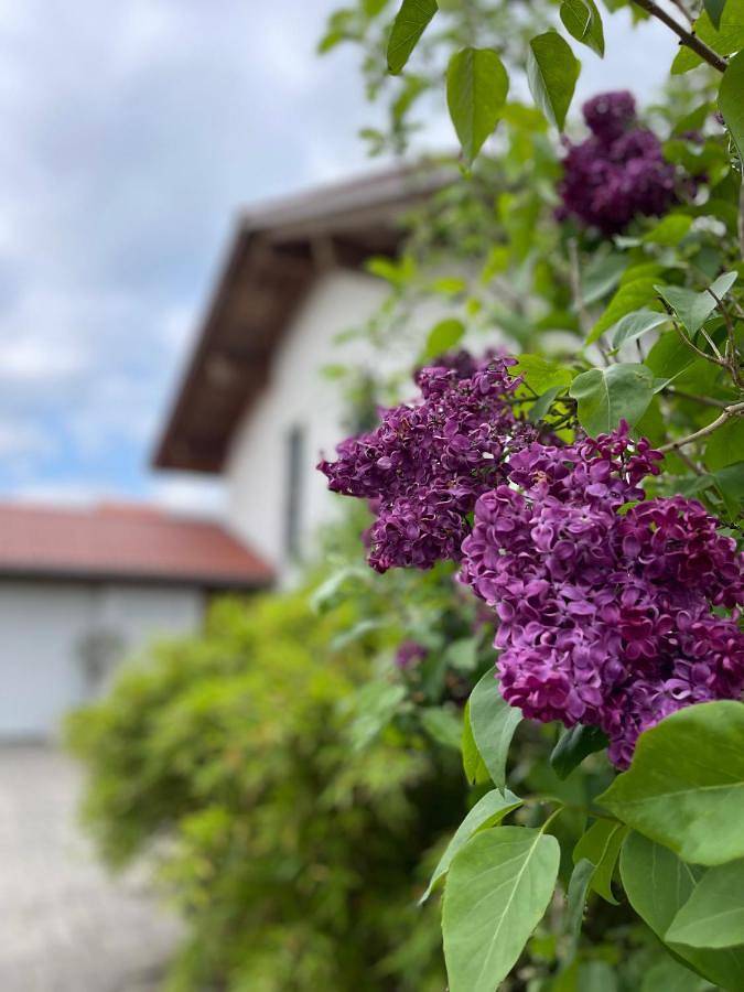 Location de vacances pour 12 personnes, avec jardin et vue à Irschenberg - 3