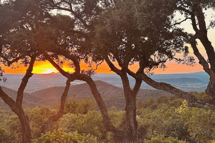 Villa pour 10 personnes, avec terrasse et jardin, animaux acceptés à La Garde-Freinet